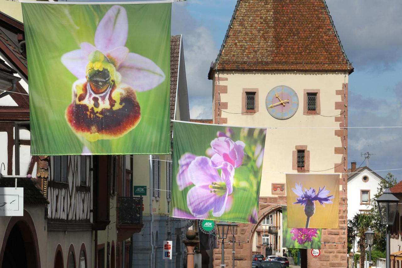Tiptop Hotel Garni Pfauen Endingen am Kaiserstuhl Eksteriør billede