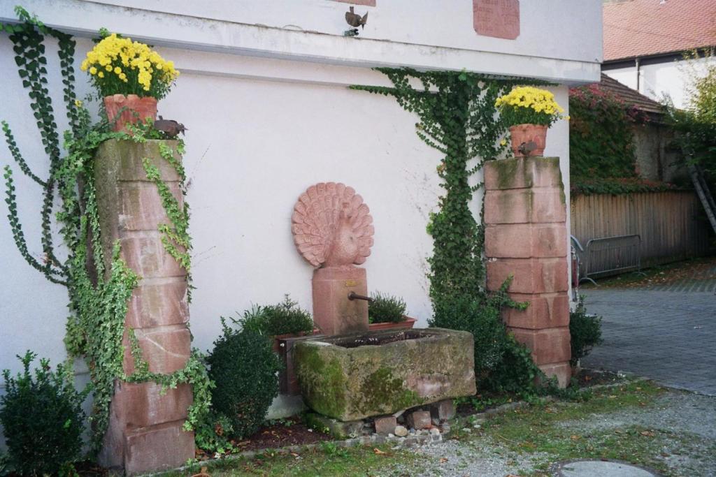 Tiptop Hotel Garni Pfauen Endingen am Kaiserstuhl Eksteriør billede