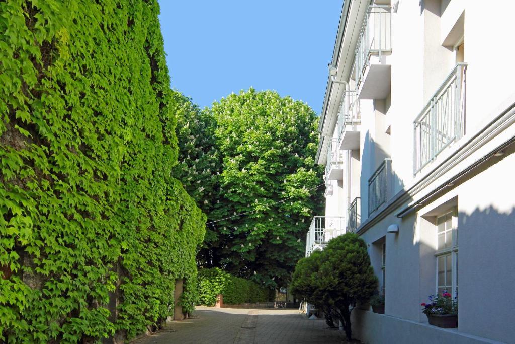 Tiptop Hotel Garni Pfauen Endingen am Kaiserstuhl Eksteriør billede
